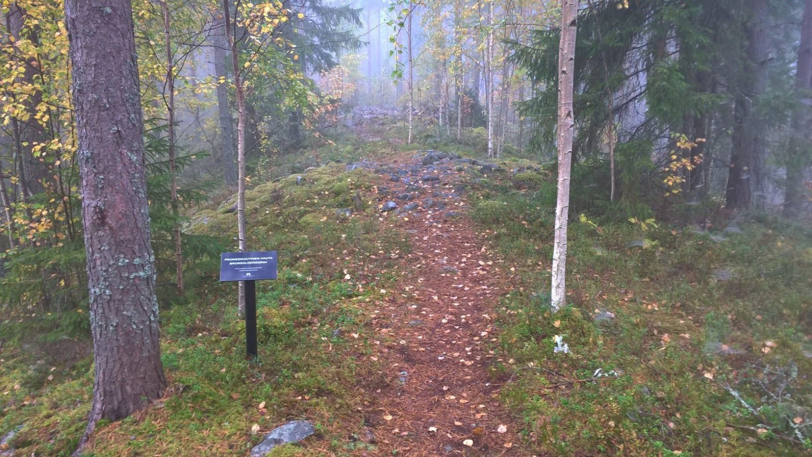 Maaninka Keskisaari 4