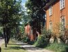 Puu kapyla