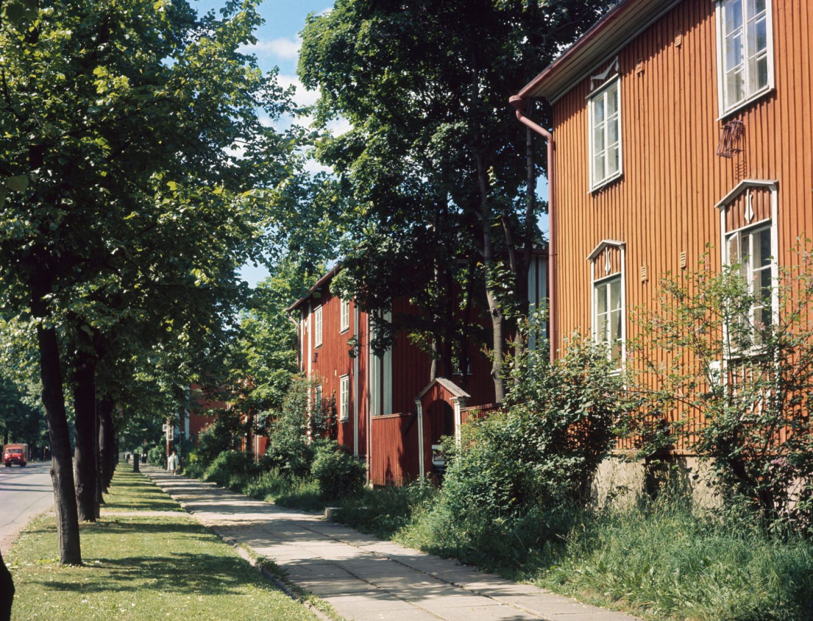 Puu kapyla Puu kapyla