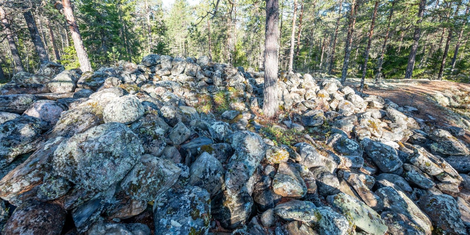 Roykkio1 veso laulumaa