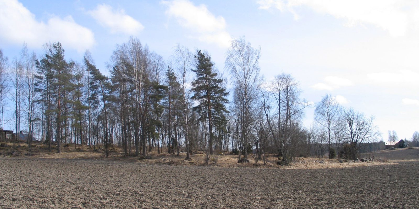 Pieni metsäalue peltojen keskellä.. Kuvaaja: V.-P. Suhonen, Museovirasto. Pieni metsäalue peltojen keskellä.. Kuvaaja: V.-P. Suhonen, Museovirasto.