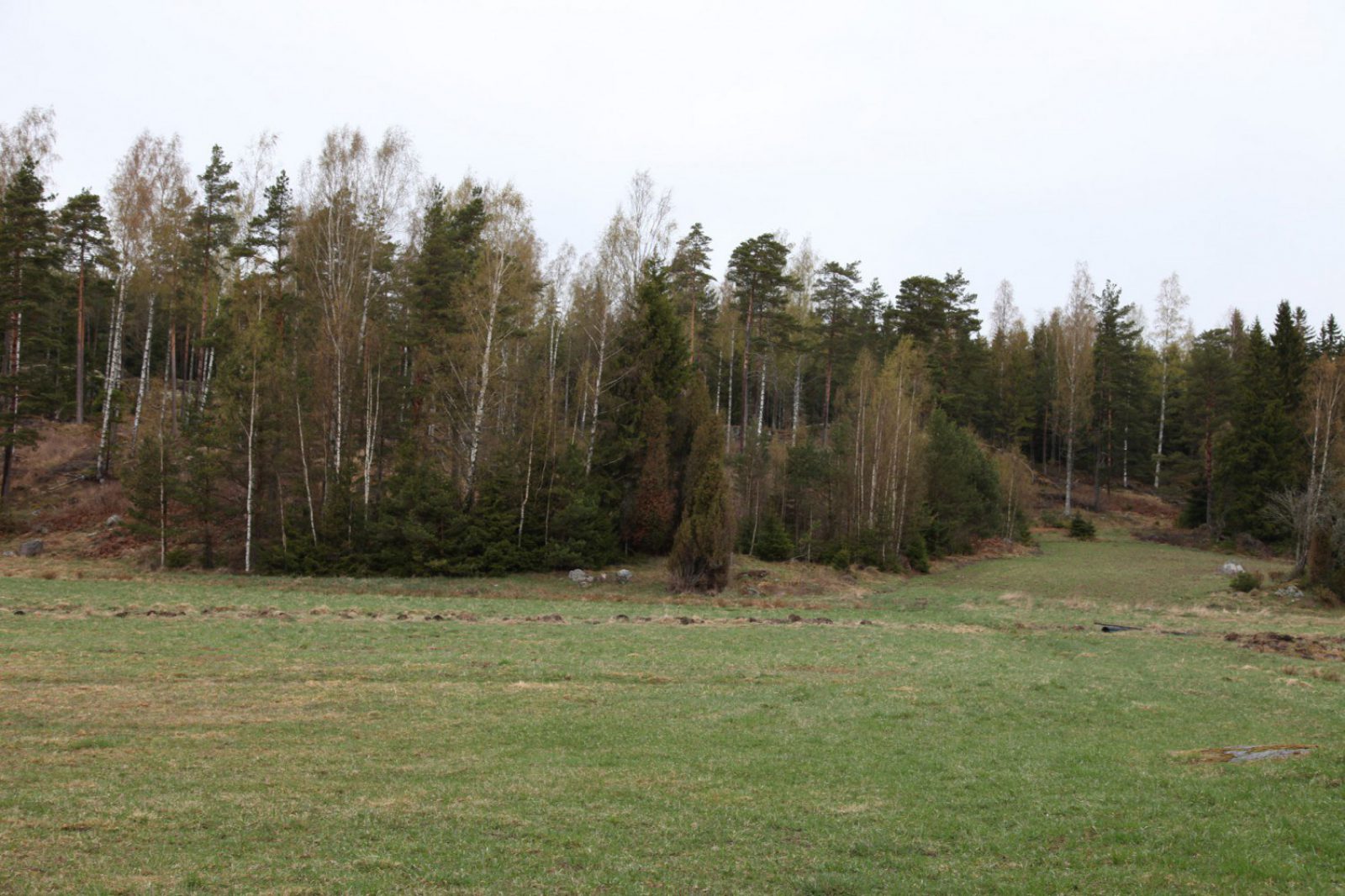 Niitty ja sen takana sekametsää.. Kuvaaja: V.-P. Suhonen, Museovirasto. Niitty ja sen takana sekametsää.. Kuvaaja: V.-P. Suhonen, Museovirasto.