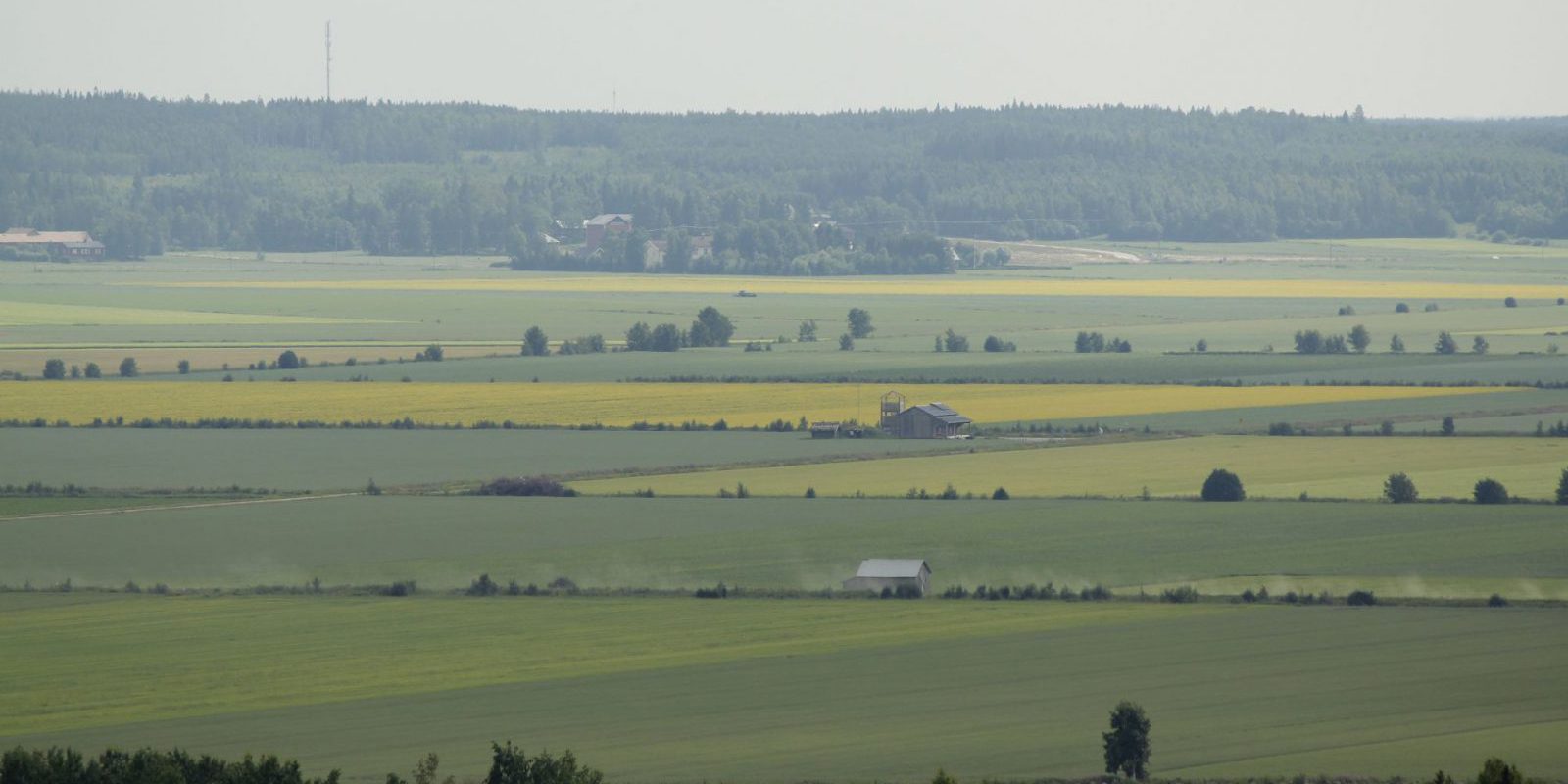 00 Soderfjardenin Latoja Ja Meteoriihi Kaj Hoglund Wlm 00 Soderfjardenin Latoja Ja Meteoriihi Kaj Hoglund Wlm