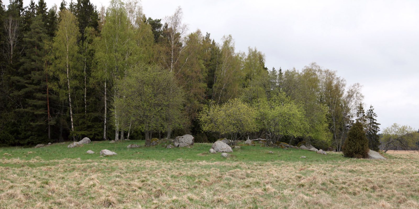 Stensbole Uddas Vp Suhonen 2000X1000 Stensbole Uddas Vp Suhonen 2000X1000