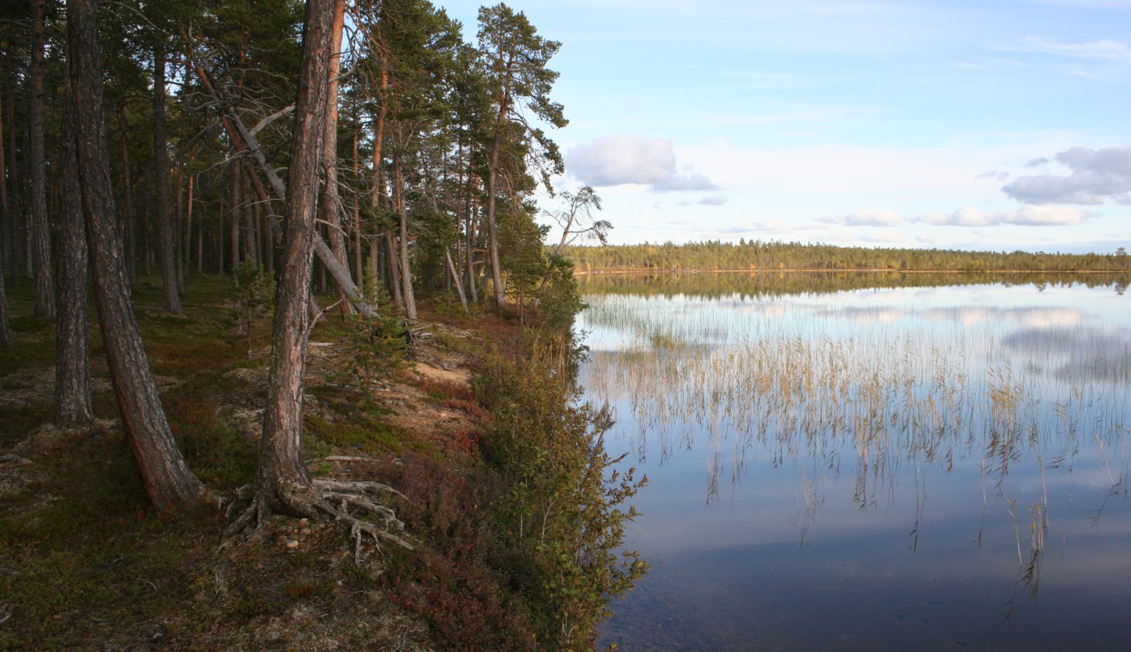 Alumalompolan asuinpaikka, Inari. Kuvaaja: Meri Varonen. Objektinumero: AKDG4:24 Alumalompolan asuinpaikka, Inari. Kuvaaja: Meri Varonen. Objektinumero: AKDG4:24