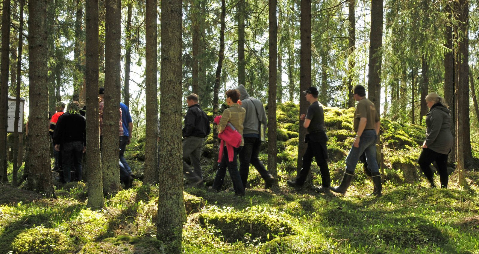 Laihia Jätinhaudanmaa. Kuvaaja: Mikael Nyholm. Objektinumero: AKDG17320:10 Laihia Jätinhaudanmaa. Kuvaaja: Mikael Nyholm. Objektinumero: AKDG17320:10