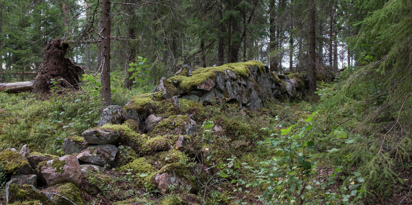 Kiviaita Porvoon Kevätkummussa. Kuvaaja: Helena Ranta Kiviaita Porvoon Kevätkummussa. Kuvaaja: Helena Ranta