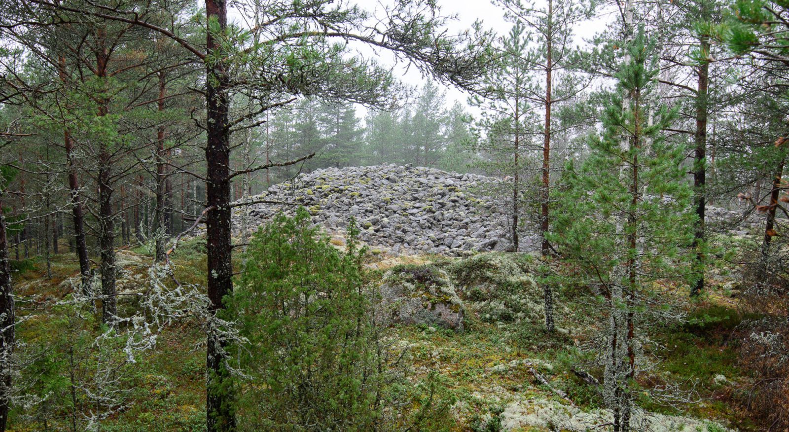 Salon Viitamäen röykkiö. Kuvaaja: Vesa Laulumaa Salon Viitamäen röykkiö. Kuvaaja: Vesa Laulumaa