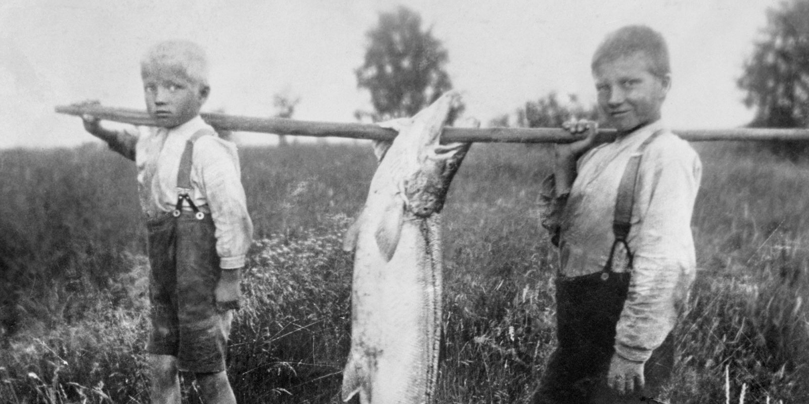 Muhoksen ennätyslohi 1928 (kuva rajattu). Kuva: Martti Kesäniemi / Kaleva / Journalistinen kuva-arkisto JOKA. Objektinumero: JOKAKAL3B:23481 Muhoksen ennätyslohi 1928 (kuva rajattu). Kuva: Martti Kesäniemi / Kaleva / Journalistinen kuva-arkisto JOKA. Objektinumero: JOKAKAL3B:23481