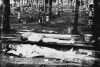 Victims of political terror raised from a field of blood in Tommola and from the Kymijoki in May 1918. Photo: Leonard Karlsson / Picture Collections of the Finnish Heritage Agency. Objektinumero: HK19720912:1