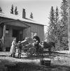 Evakkokuormaa lastataan Kurkijoella, 1944. Kuva: Pekka Kyytinen / Museoviraston Kuvakokoelmat. Objektinumero: KK5596:29.SJ.52