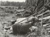 Kaskiviljelijöitä ruokalevolla Maaningan Tuovilanlahdella 1928. Kuva: Ahti Rytkönen / Museoviraston Kuvakokoelmat. Objektinumero: KK2103:110