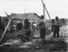 Parkkeja kiskotaan oksista Muoniossa. Kätkäsuvanto, 1921. Kuva: Samuli Paulaharju / Museoviraston Kuvakokoelmat. Objektinumero: KK3490:2784