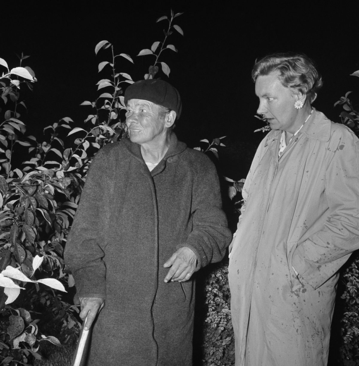 Foto: UA Saarinen / Journalistiska bildarkivet JOKA / Museiverket