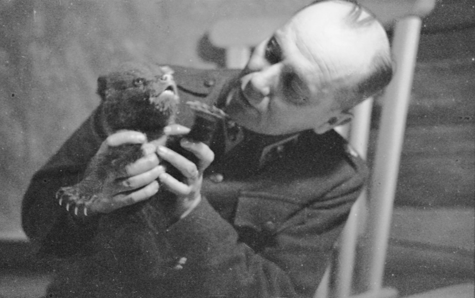 Kenraalimajuri Erkki Raappana ja hänelle lahjoitettu karhunpentu Mesikkä kevättalvella 1944. Kuva: Pauli Jänis / Museoviraston Kuvakokoelmat. Objektinumero: HK7744:1580 Kenraalimajuri Erkki Raappana ja hänelle lahjoitettu karhunpentu Mesikkä kevättalvella 1944. Kuva: Pauli Jänis / Museoviraston Kuvakokoelmat. Objektinumero: HK7744:1580
