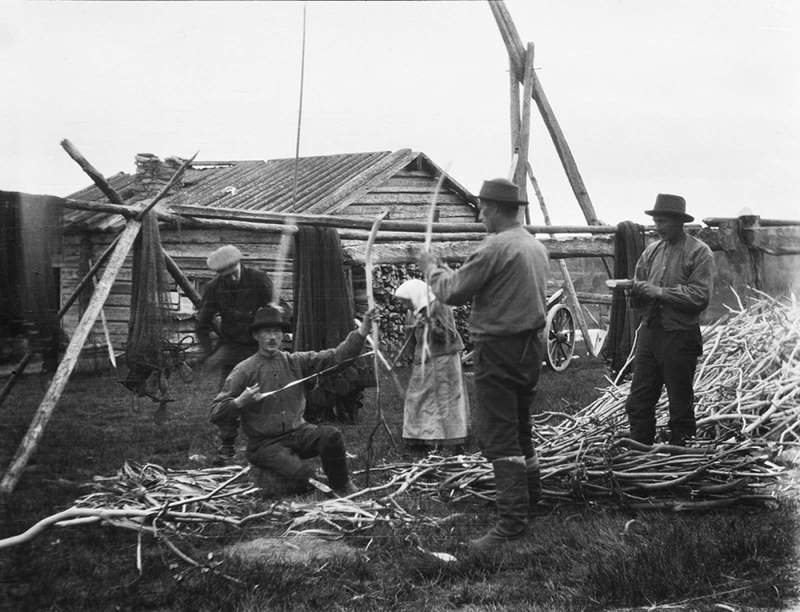Parkkeja kiskotaan oksista Muoniossa. Kätkäsuvanto, 1921. Kuva: Samuli Paulaharju / Museoviraston Kuvakokoelmat. Objektinumero: KK3490:2784 Parkkeja kiskotaan oksista Muoniossa. Kätkäsuvanto, 1921. Kuva: Samuli Paulaharju / Museoviraston Kuvakokoelmat. Objektinumero: KK3490:2784