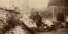 Kvinnor rensar fisk i byn Polja i Sibirien 1898 (beskuren bild), U. T. Sirelius / Museiverkets Bildsamlingar. Objektinumero: SUK36:353