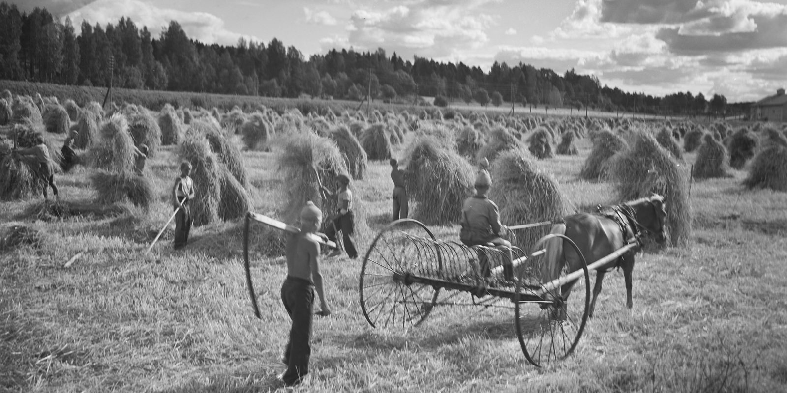 Pojat heinäpellolla (kuva rajattu), Pekka Kyytinen / Museoviraston Kuvakokoelmat. Objektinumero: KK5596:1.AK.3 Pojat heinäpellolla (kuva rajattu), Pekka Kyytinen / Museoviraston Kuvakokoelmat. Objektinumero: KK5596:1.AK.3