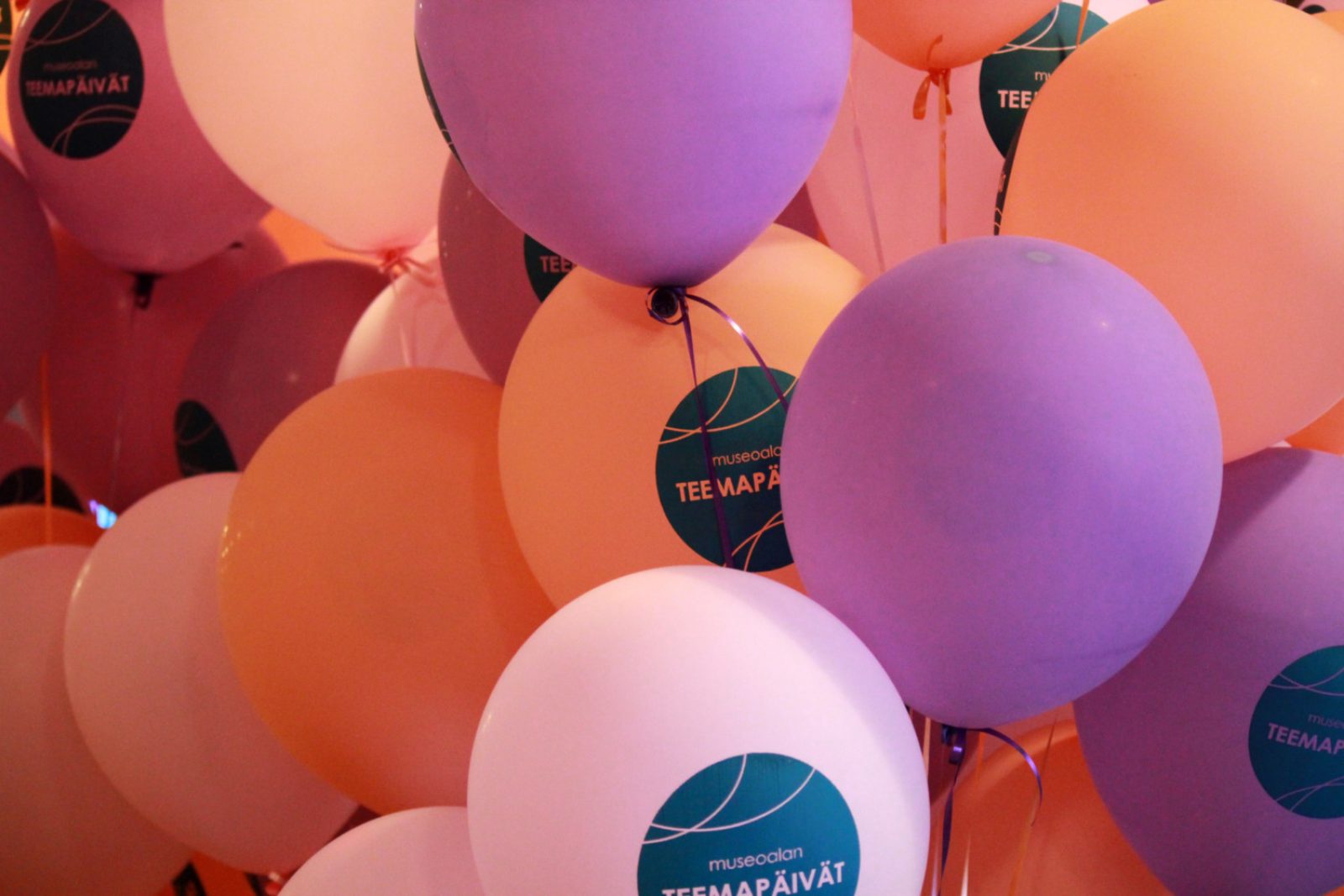 Teema17. Kuvaaja: Travis Nurminen