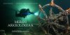 Meren Arkeologia Verkkobanner