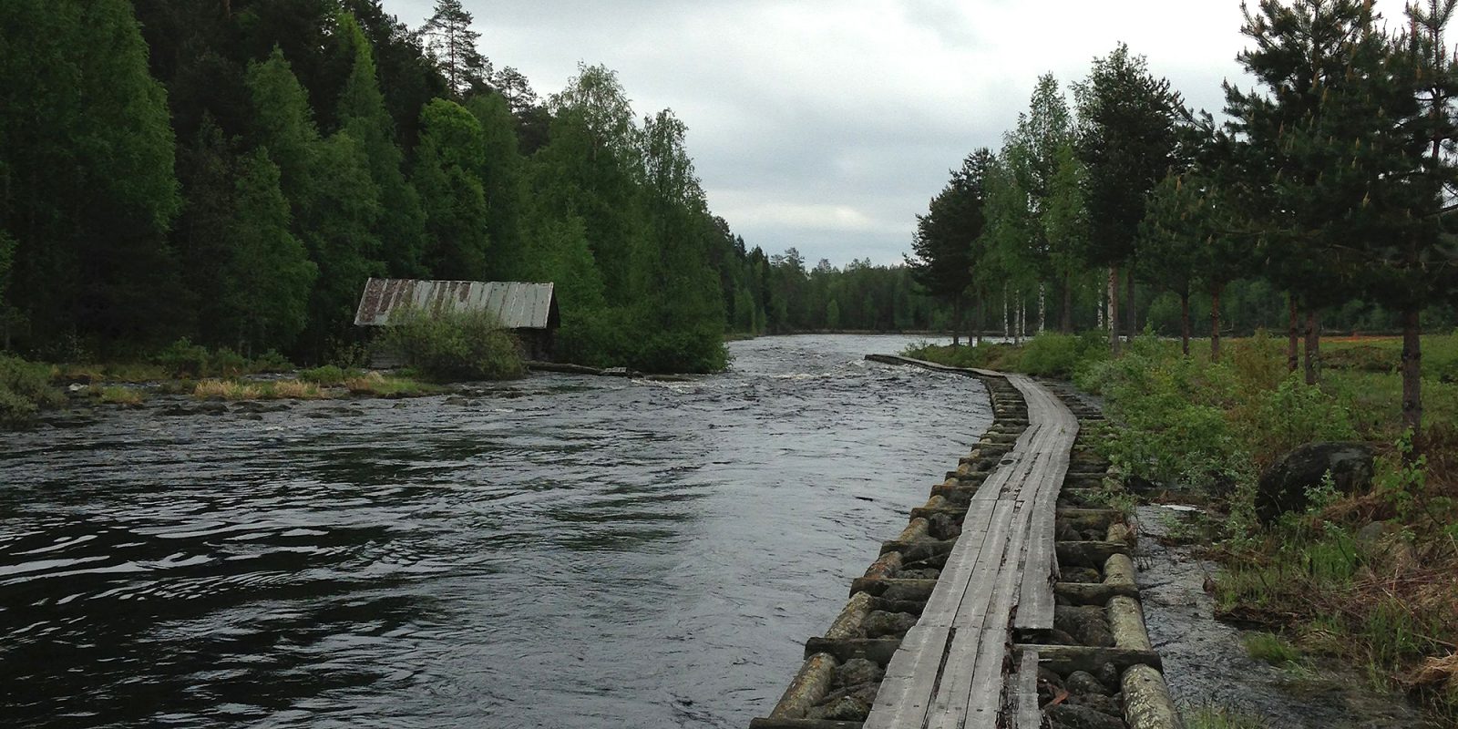 Kuhmo Vuonteenkoski terveveneiden vetotie eli molja kuva Sallamaria Tikkanen Muse Kuhmo Vuonteenkoski terveveneiden vetotie eli molja kuva Sallamaria Tikkanen Muse