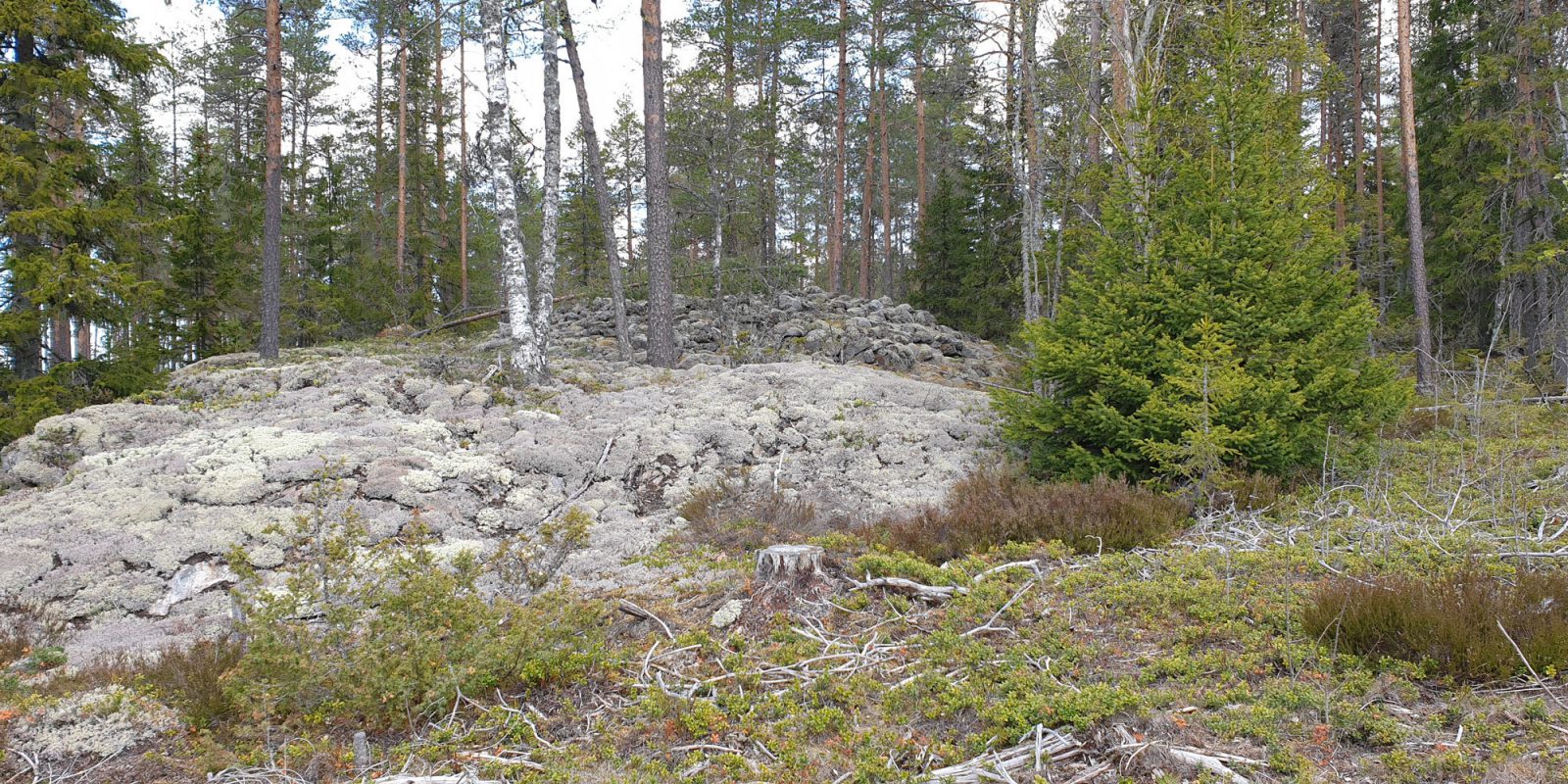 1 Kristiinankaupunki Abackaberget Pronssikautisia Hautaraunioita 2000. Kuvaaja: Teija Tiitinen 1 Kristiinankaupunki Abackaberget Pronssikautisia Hautaraunioita 2000. Kuvaaja: Teija Tiitinen