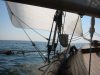 Sea Breezes