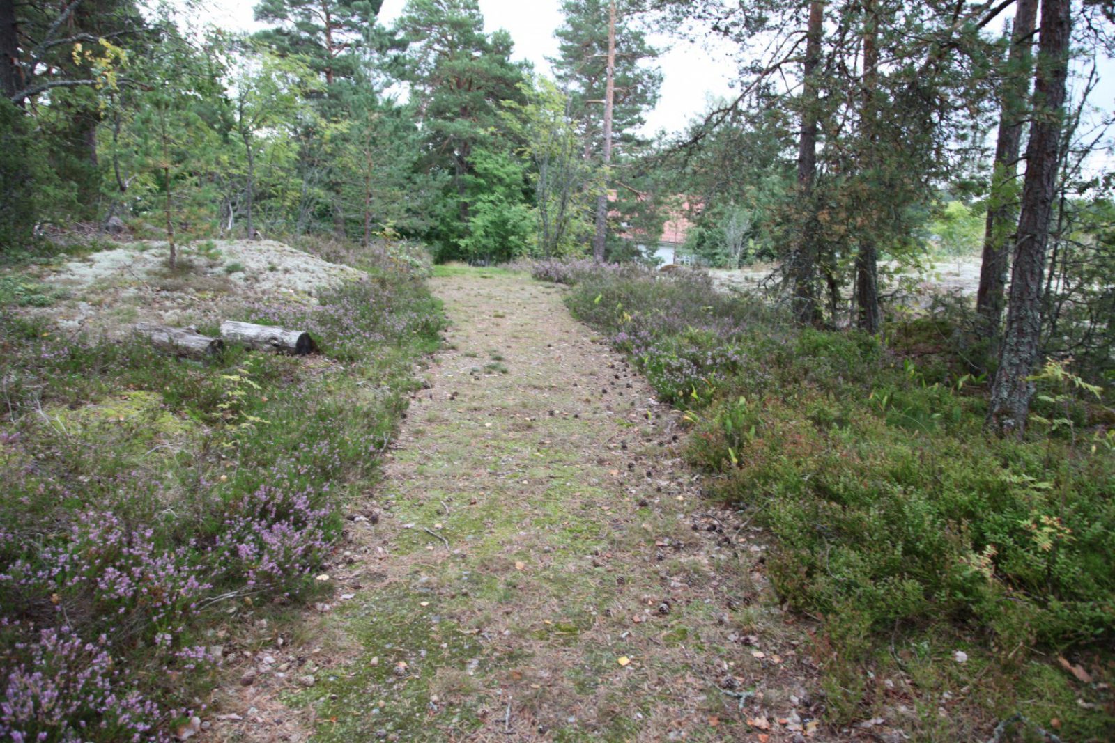 Kuva Museovirasto VPS Kuva Museovirasto VPS