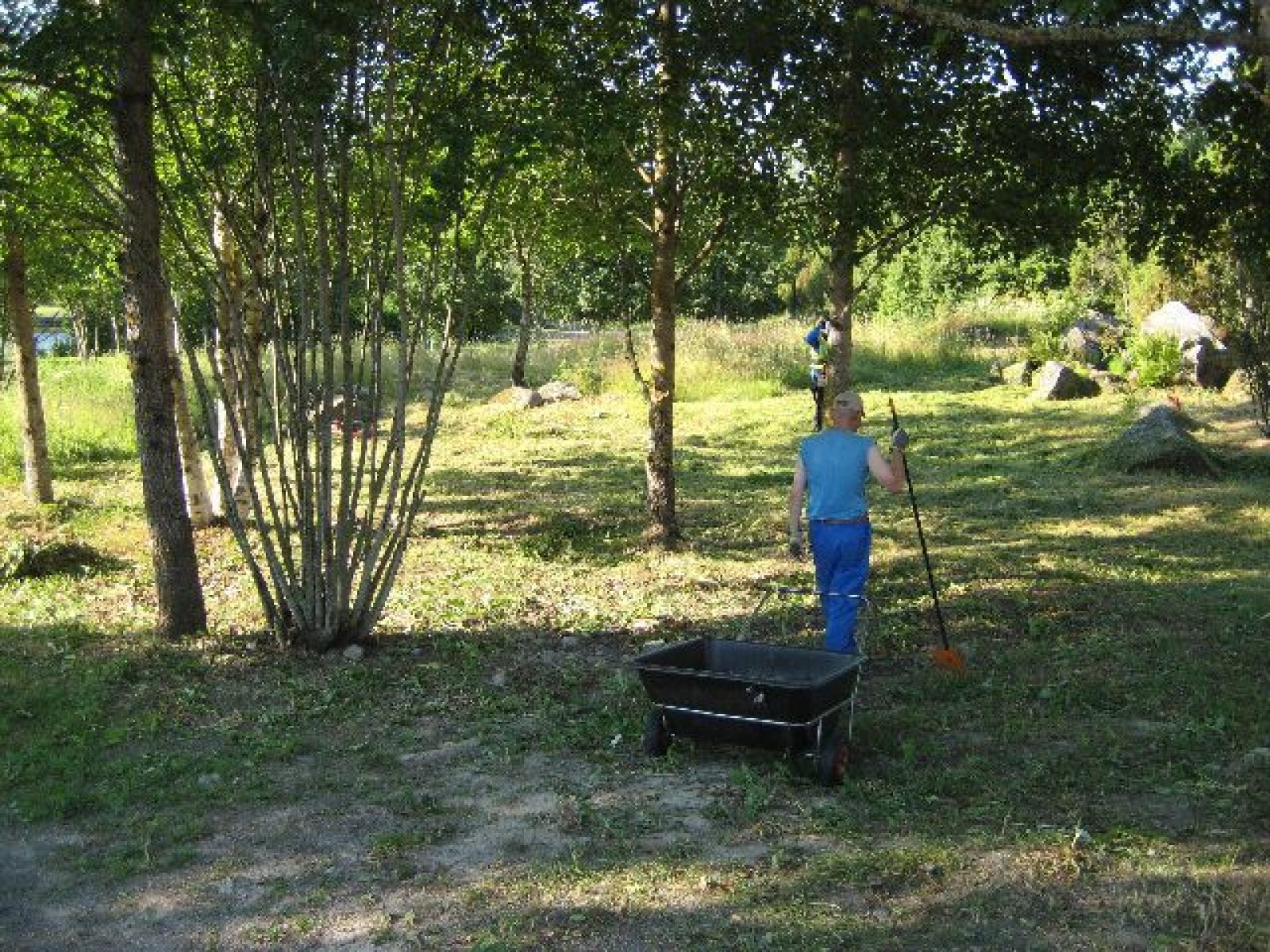 Dg1793 1. Kuvaaja: Leena Koivisto. Objektinumero: AKDG 1793:1