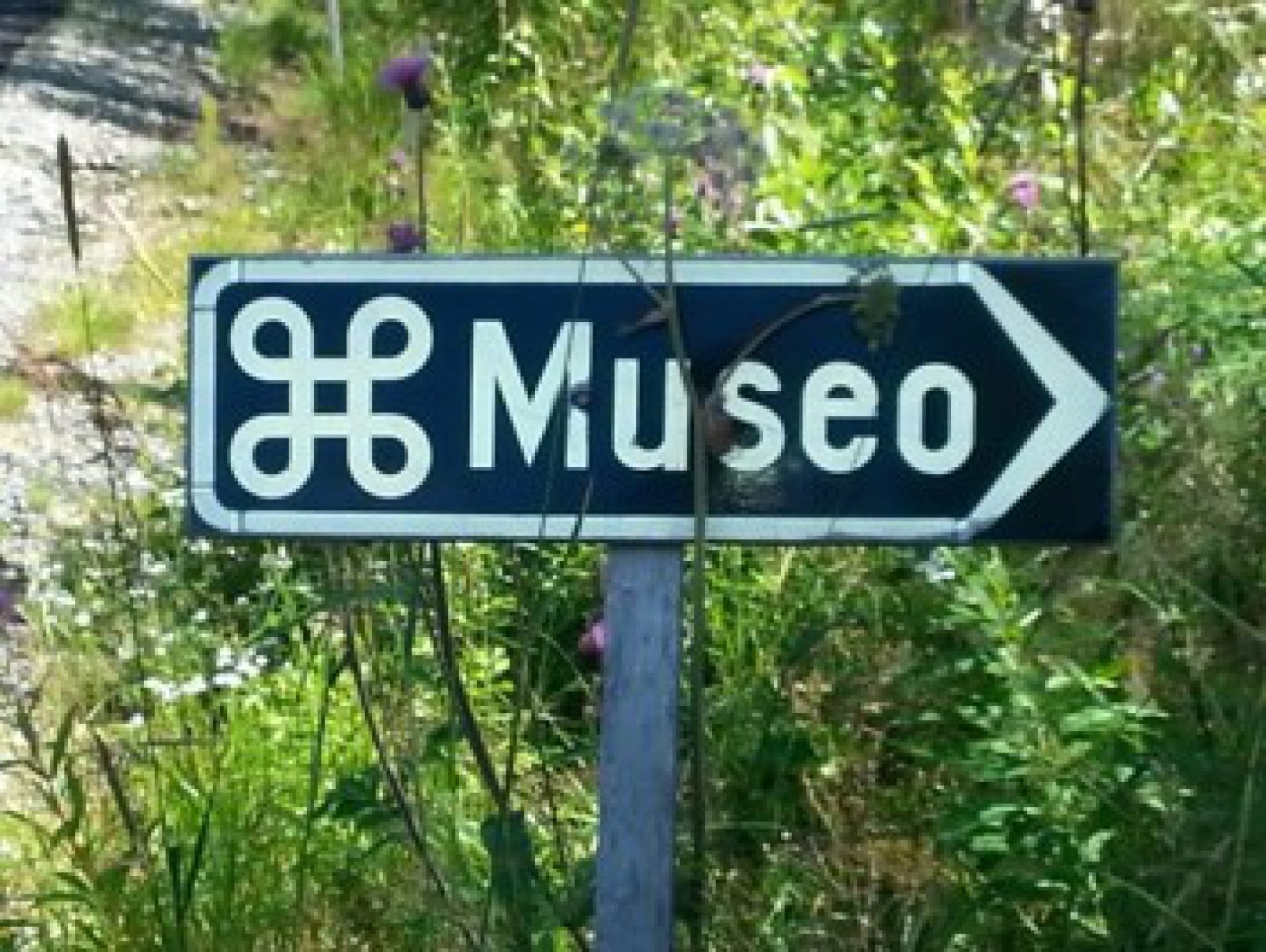 Dynaaminen museo. Kuvaaja: Leena Paaskoski, Lusto Dynaaminen museo. Kuvaaja: Leena Paaskoski, Lusto