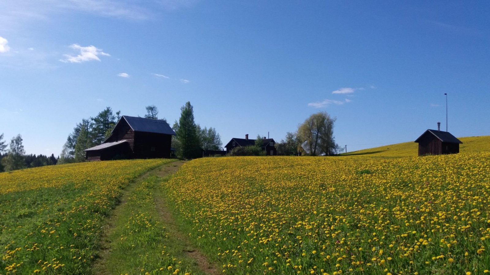 Ilomantsin Kakonahoa Marja Leena Ikkala Ilomantsin Kakonahoa Marja Leena Ikkala
