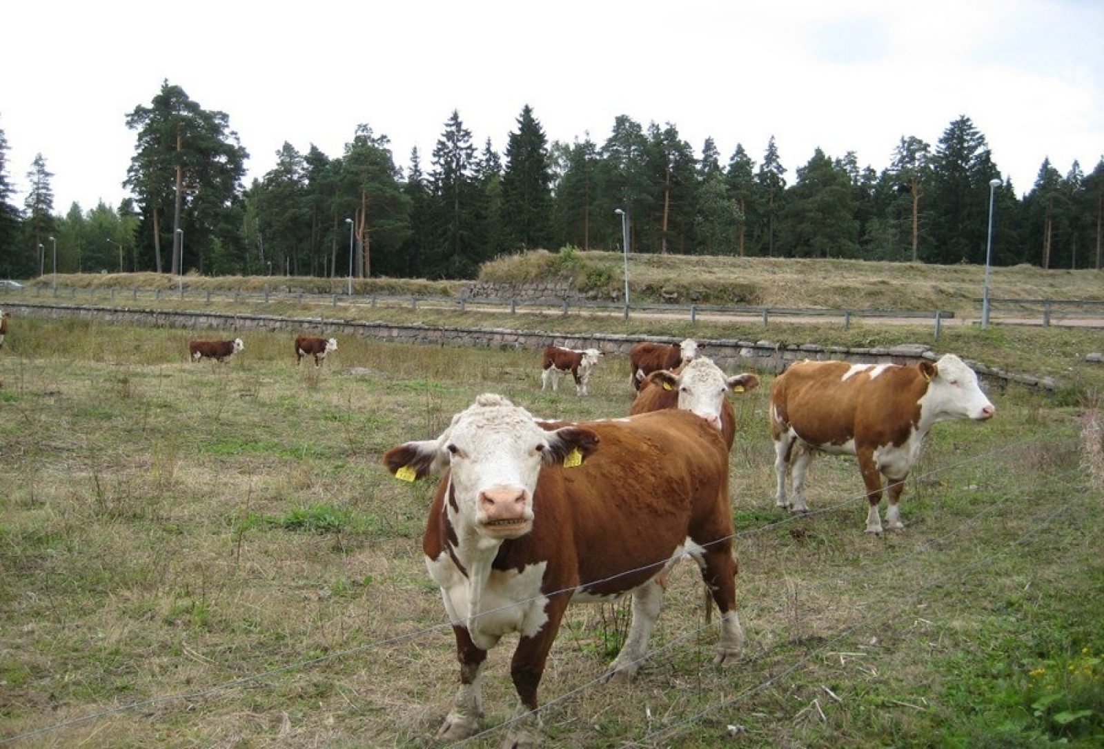 Laidunnuskuva Kyminlinna Kotka