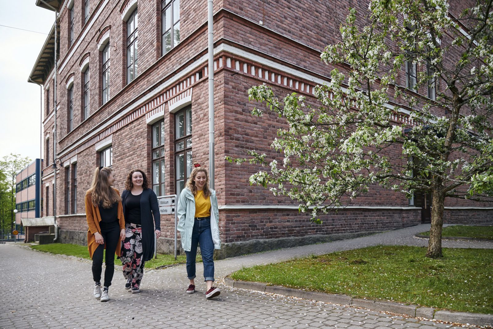 Seminaarinmaki kampus Jyväskylän yliopisto Seminaarinmaki kampus Jyväskylän yliopisto