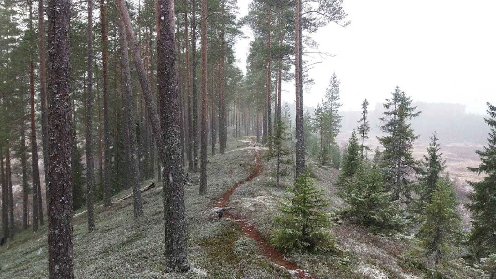 Vuokin Reittia Suomussalmella 2019 Marja Leena Ikkala Vuokin Reittia Suomussalmella 2019 Marja Leena Ikkala